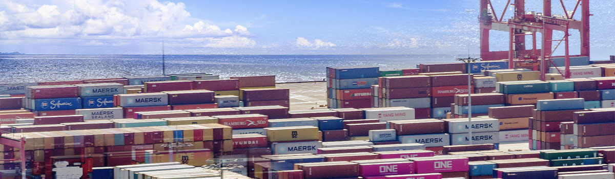 1632639860172363.jpg 海運(yùn)大圖2.jpg